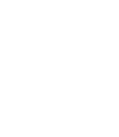 Privacy Icon
